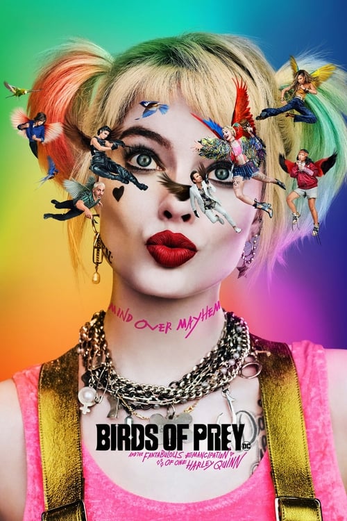 Download Birds of Prey (2020) Dual Audio {Hindi-English} Movie 480p | 720p BluRay 350MB | 900MB || FilmyFlix Poster – Filmy Flix